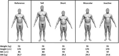 Frontiers Simple Skeletal Muscle Mass Estimation Formulas What We   505707 Thumb 400 